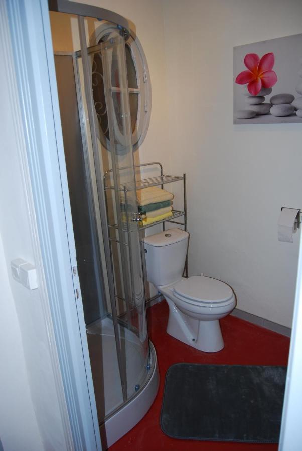 Villa A 100 M De Tarbes Sud Laloubere المظهر الخارجي الصورة